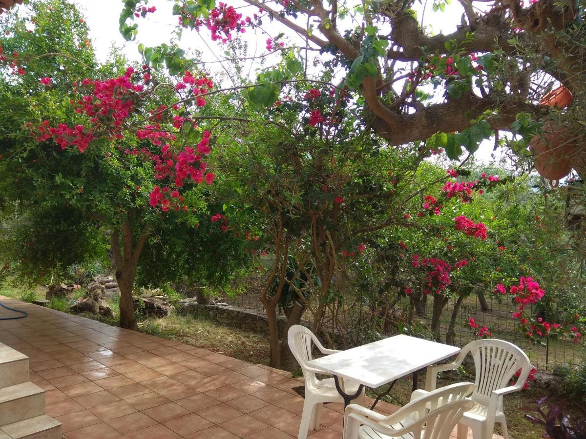 Ktima Tzamika Apartment Episkopi  Bagian luar foto
