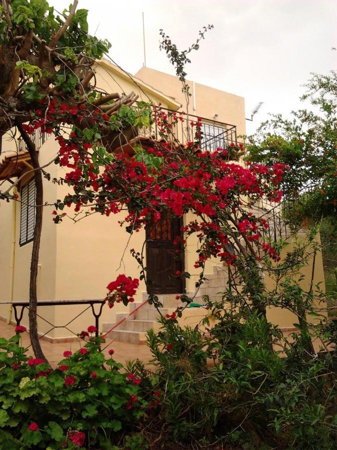 Ktima Tzamika Apartment Episkopi  Bagian luar foto