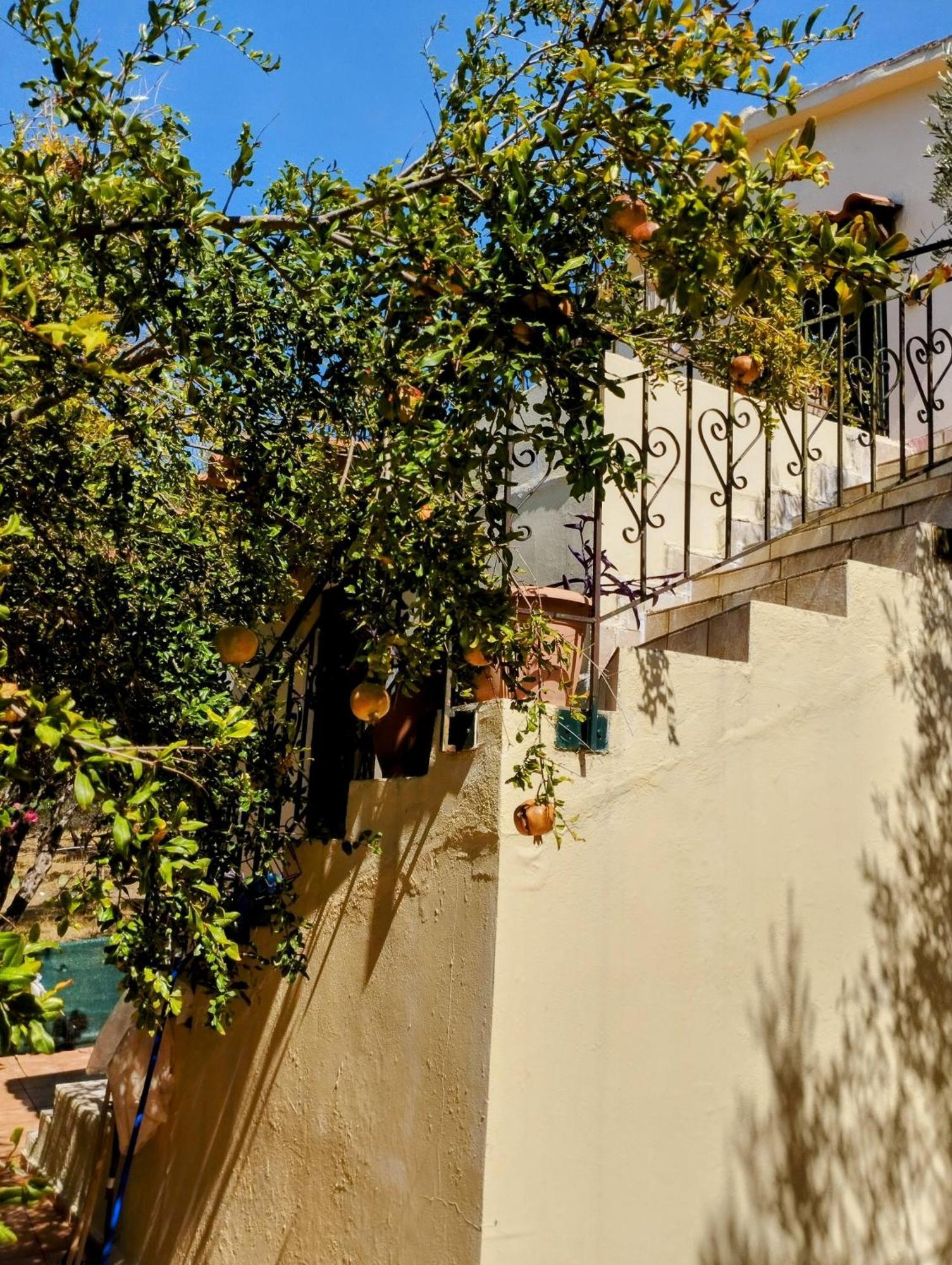 Ktima Tzamika Apartment Episkopi  Bagian luar foto