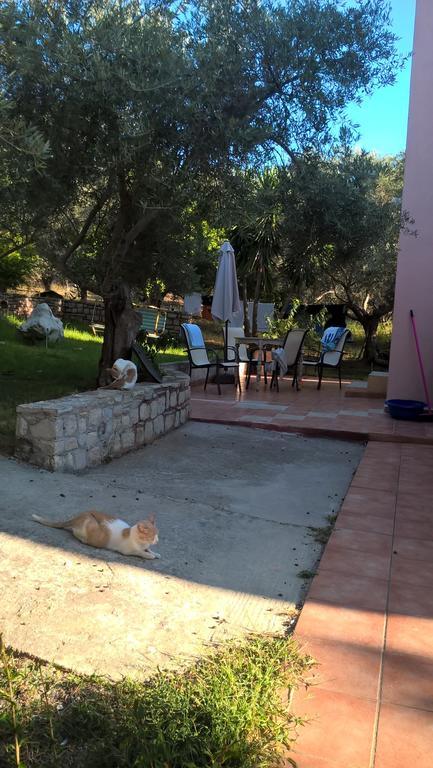 Ktima Tzamika Apartment Episkopi  Bagian luar foto