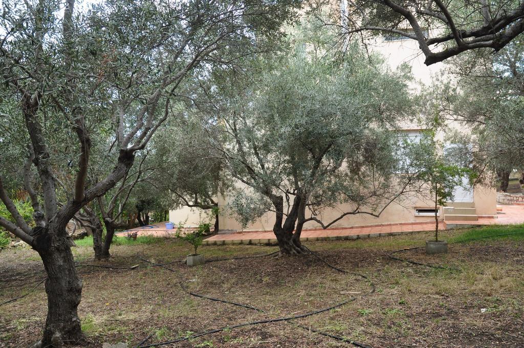 Ktima Tzamika Apartment Episkopi  Bagian luar foto