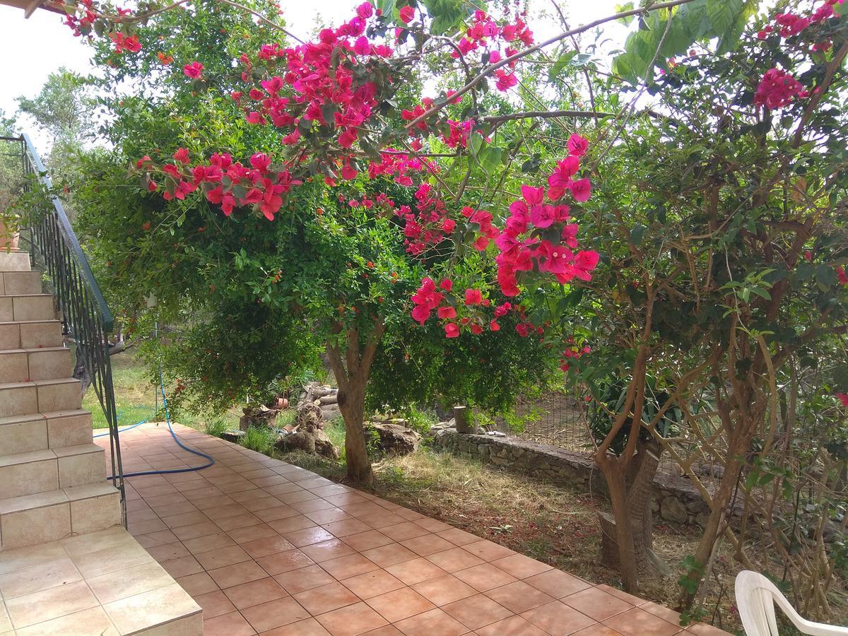 Ktima Tzamika Apartment Episkopi  Bagian luar foto