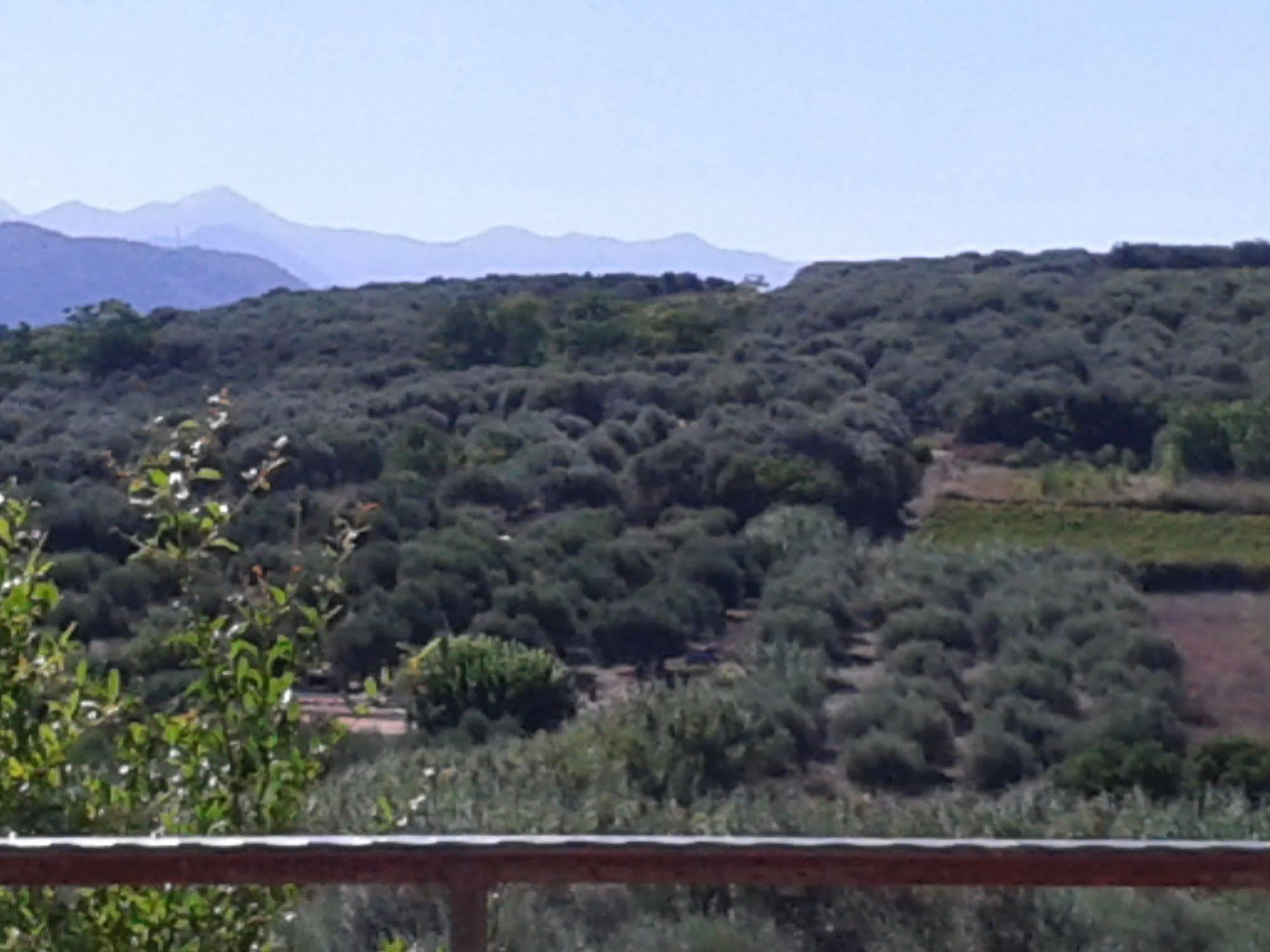 Ktima Tzamika Apartment Episkopi  Bagian luar foto