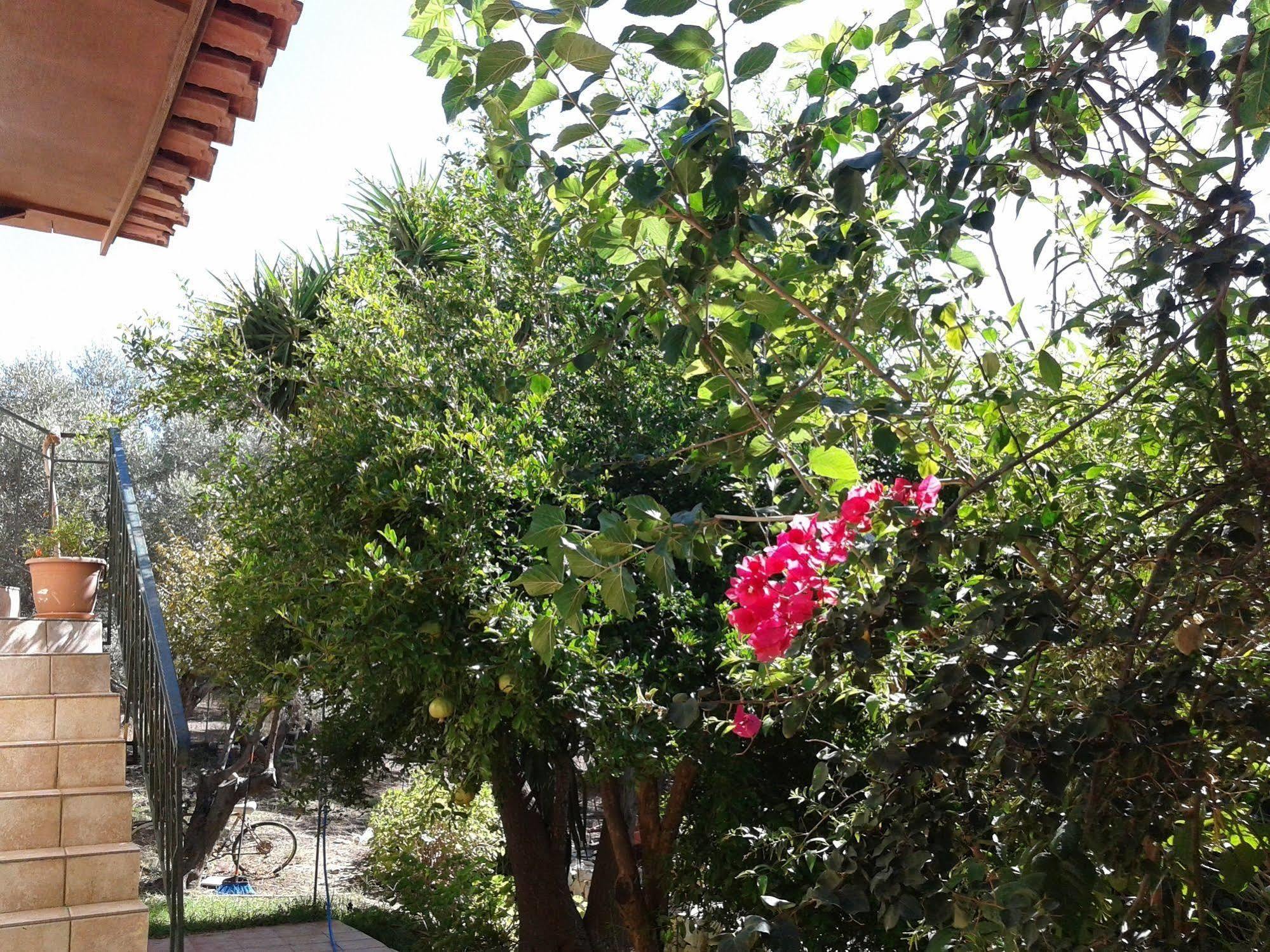 Ktima Tzamika Apartment Episkopi  Bagian luar foto