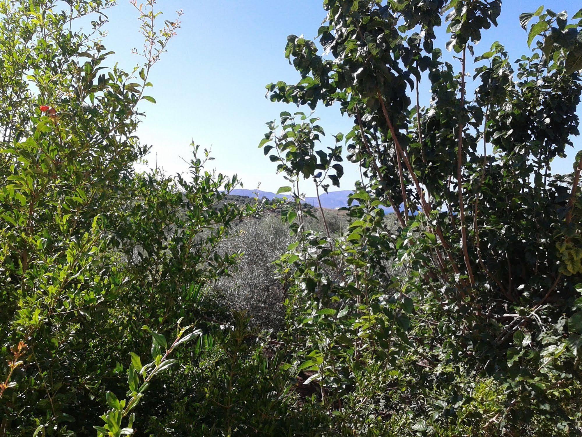 Ktima Tzamika Apartment Episkopi  Bagian luar foto