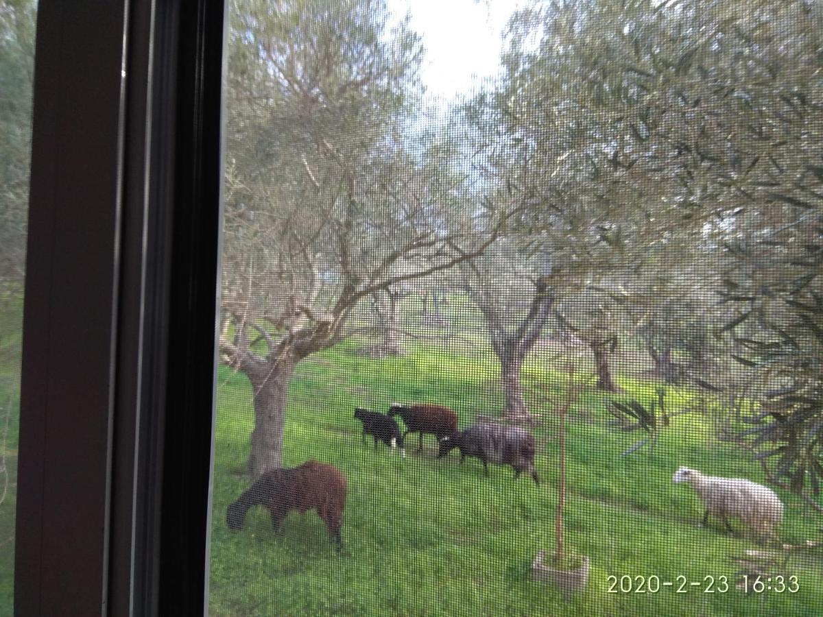 Ktima Tzamika Apartment Episkopi  Bagian luar foto